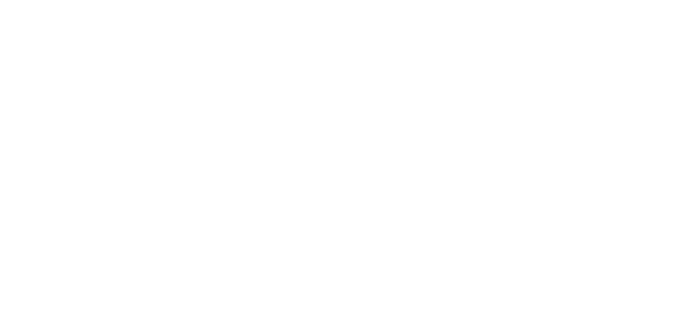 Boxing CS3 logo